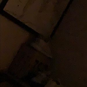 Meet your Posher, Preston